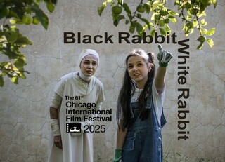 «خرگوش سیاه خرگوش سفید» راهی شیکاگو شد