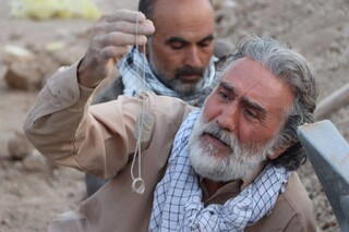 همراهی شبکه نمایش سیما با رویداد «ایران جان»/«هفته اصفهان» روی آنتن شبکه نمایش می‌رود