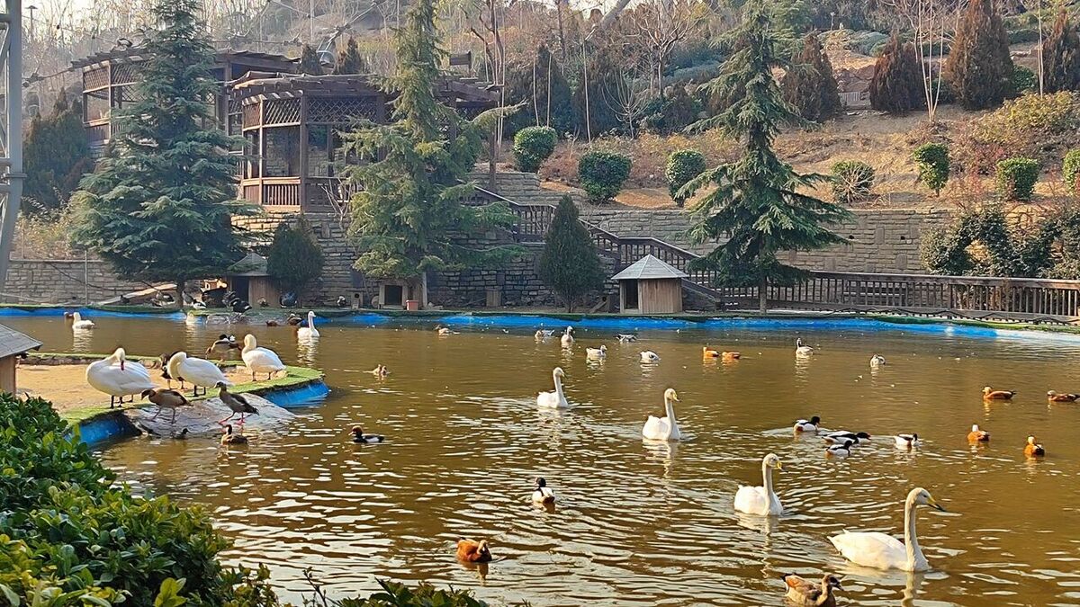 باغ پرندگان قم دارای ظرفیت‌های ارزشمند زیست محیطی است