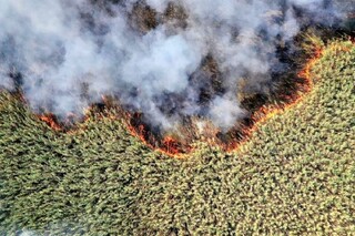 پیش‌بینی تداوم آتش‌سوزی در بخش عراقی هورالعظیم تا مهر