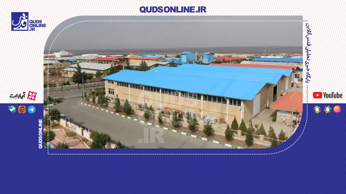 فیلم | تولیدکننده عزیز با فرغون بیا!