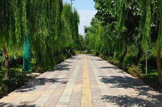 آغاز اجرای طرح پاکسازی پارک‌ها و بوستان‌های پایتخت از امروز