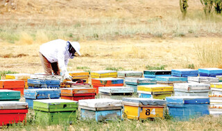 بن‌بست اشتغال در تبصره ۱۵ قانون بودجه