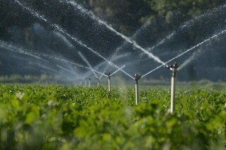 آبیاری تحت فشار  در۶۰ هکتار از اراضی کشاورزی مشهد اجرا می‌شود