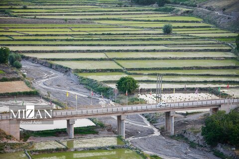 شالیزار‌های کلات نادری