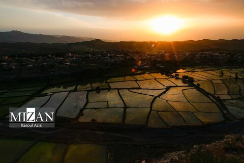 شالیزار‌های کلات نادری