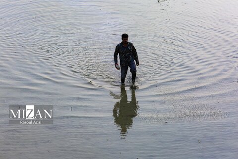 شالیزار‌های کلات نادری