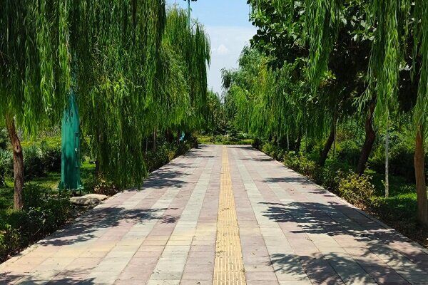 آغاز اجرای طرح پاکسازی پارک‌ها و بوستان‌های پایتخت از امروز