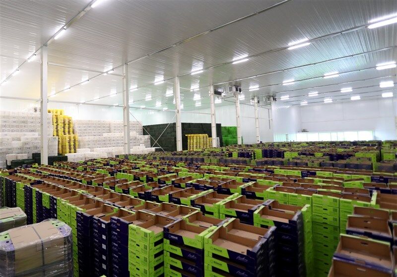 پایانه صادراتی فسا بهمن به بهره‌برداری می‌رسد