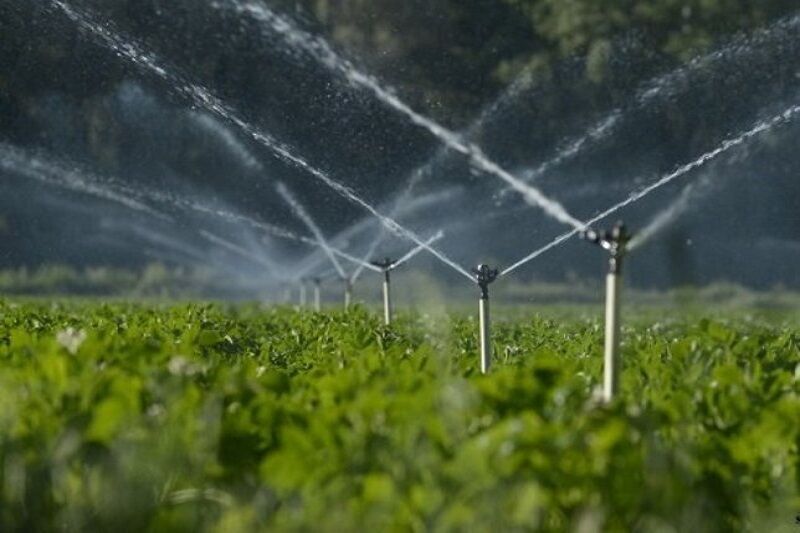 آبیاری تحت فشار  در۶۰ هکتار از اراضی کشاورزی مشهد اجرا می‌شود
