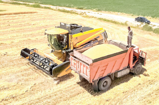 به ‌فکر نان مردم باشیم / چه تصمیم‌هایی موجب کاهش ۴۰ درصدی خرید گندم از کشاورزان شده است؟