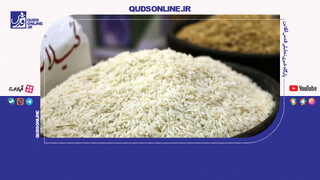 فیلم | فروش پشت فاکتوری واردکننده، دلیل اصلی گرانی برنج!