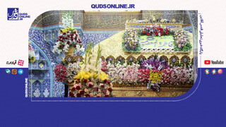 فیلم | گل‌آرایی ضریح مطهر حضرت معصومه(س)