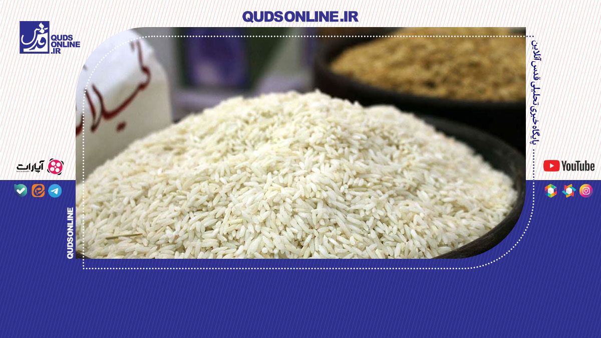 فیلم | افزایش قیمت برنج ایرانی به دلیل تغییر ذائقه مصرف کنندگان است