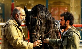 «ناتور دشت»؛ تقابل پرتعلیق خیر و شر