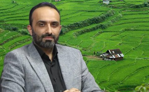 هادی باقری معاون بهبود تولیدات گیاهی سازمان جهادکشاورزی استان مازندران