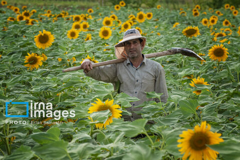 عکس منتخب هفته