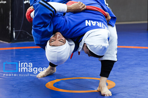 عکس منتخب هفته