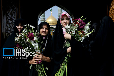 عکس منتخب هفته