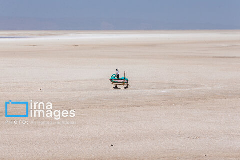 عکس منتخب هفته