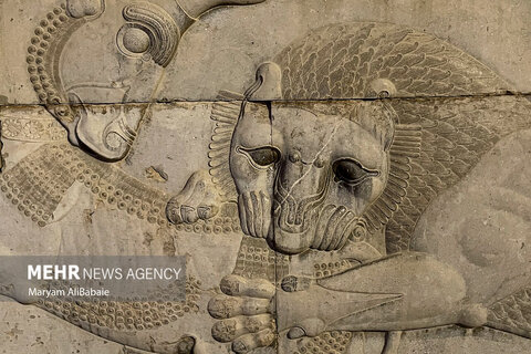 عکس منتخب هفته