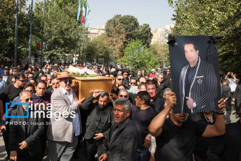 عکس منتخب هفته