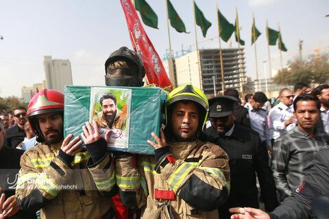 عکس منتخب هفته