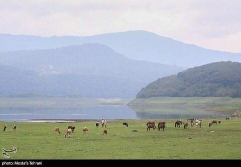 عکس منتخب هفته