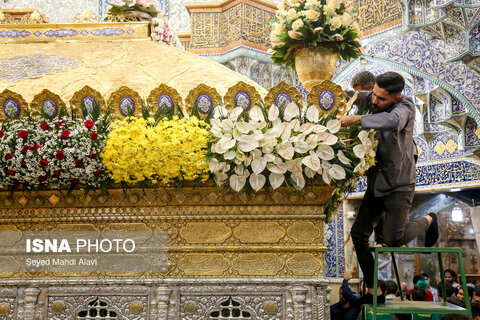 عکس منتخب هفته