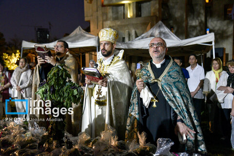 عکس منتخب هفته