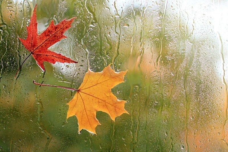 بارش پراکنده و وزش باد در انتظار برخی نواحی کشور/ پیش‌بینی رعد و برق و گردوخاک