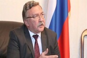 اولیانوف: ایران پول‌های مسدود شده خود در بانک‌های خارجی را پس‌می‌گیرد