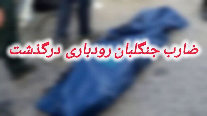 ضارب جنگلبان رودباری بر اثر برق‌گرفتگی جان باخت