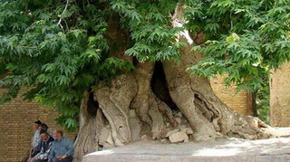 ثبت پنج اثر طبیعی چهارمحال و بختیاری در فهرست ملی