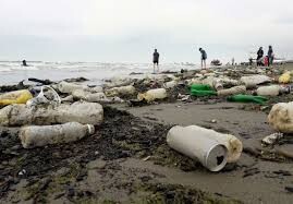 حفاظت از سواحل نیازمند همکاری مردم و مسئولان است