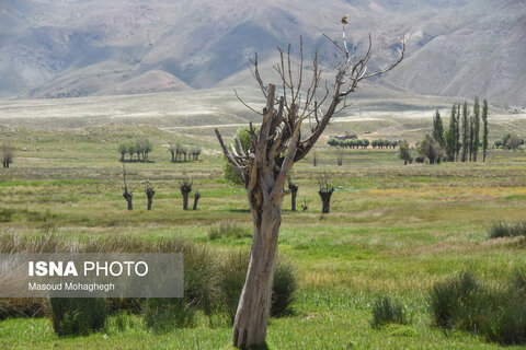 منطقه ییلاقی «دشت سفید»