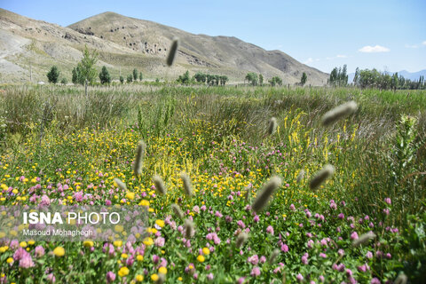 منطقه ییلاقی «دشت سفید»