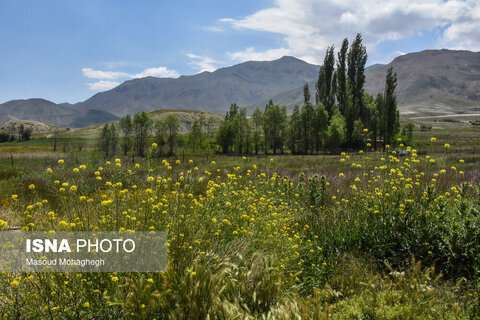 منطقه ییلاقی «دشت سفید»