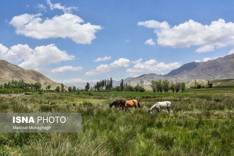 منطقه ییلاقی «دشت سفید»