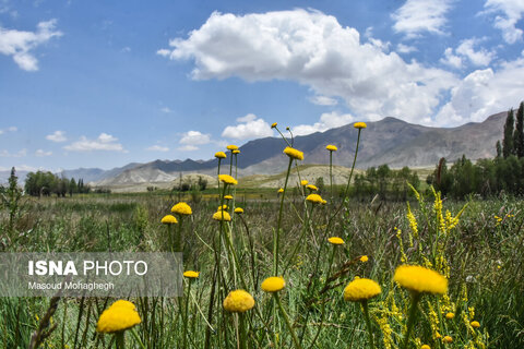 منطقه ییلاقی «دشت سفید»