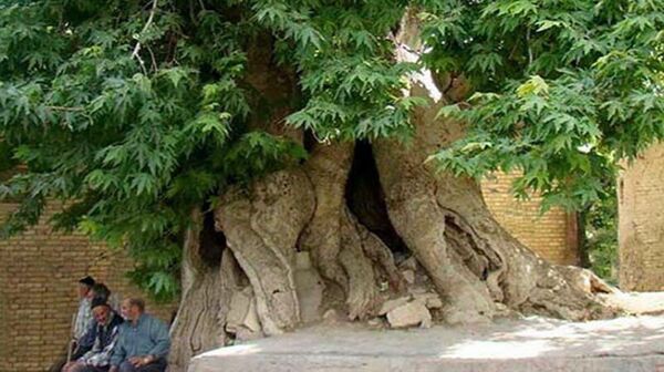 ثبت پنج اثر طبیعی چهارمحال و بختیاری در فهرست ملی