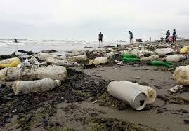 حفاظت از سواحل نیازمند همکاری مردم و مسئولان است