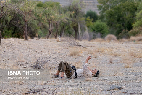 کاروان پیاده قم تا مشهد