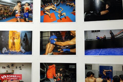 نمایشگاه هفتمین نشان عکس مطبوعاتی ایران