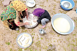 اختلاف آمار، چالش اصلی خدمات سلامت عشایر خراسان رضوی