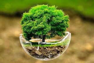 آینده سبز با سرمایه‌گذاری در منابع طبیعی
