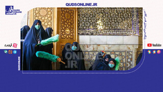 فیلم | تنها خانم خادم ضریح امام رضا(ع)