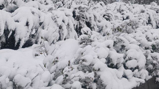 ارتفاع برف در ورزقان به بیش از ۱۰ سانتی‌متر رسید