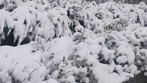 ارتفاع برف در ورزقان به بیش از ۱۰ سانتی‌متر رسید