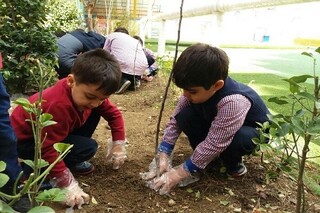 آغاز پویش درختکاری «مهر سبز» در مدارس گیلان